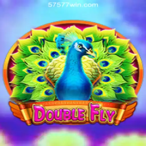 Dive into the Exciting World of DoubleFly Slots